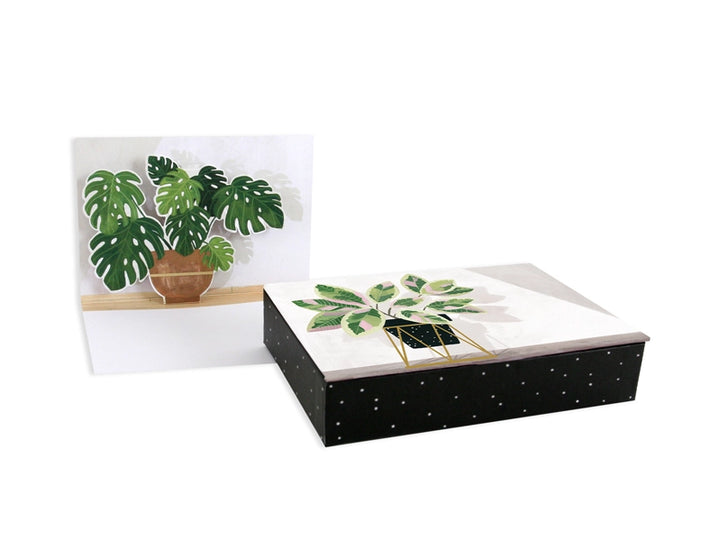 Potted Plants Pop-Up Card Set of 8