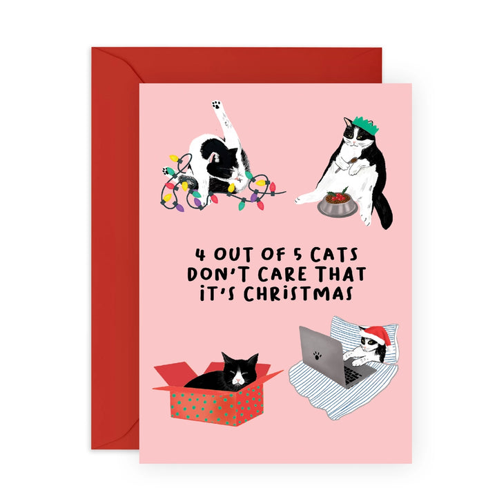 Cat Christmas Holiday Card
