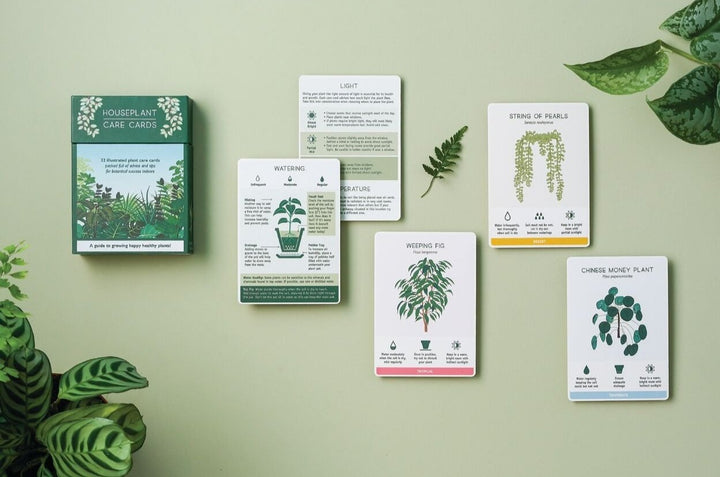 House Plant Care Cards