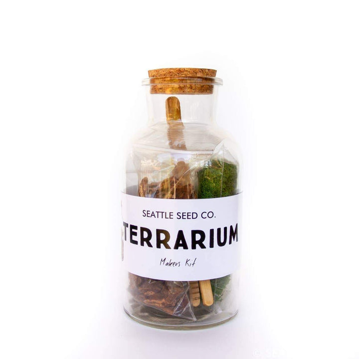 DIY Terrarium Kit