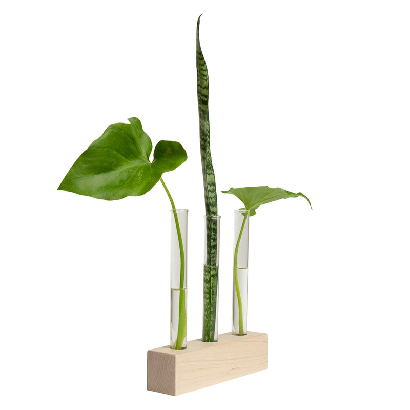Propagation Station Trio