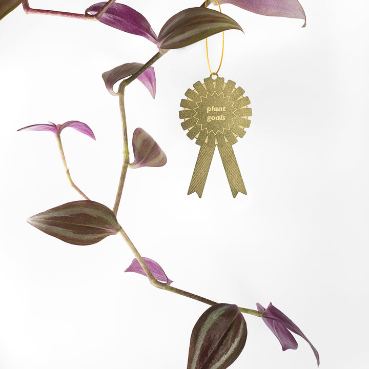 Plant Goals - Plant Award