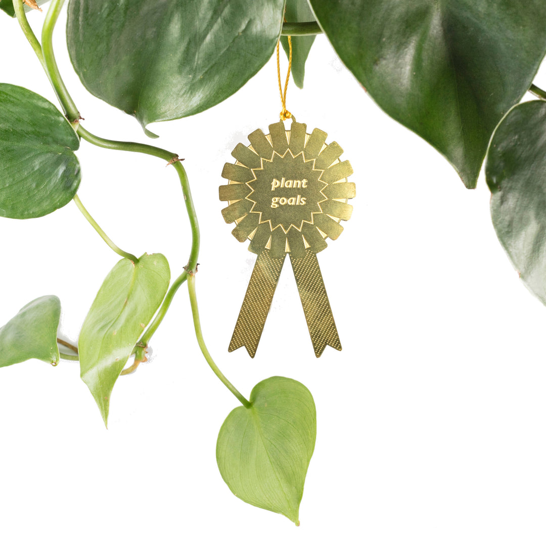 Plant Goals - Plant Award