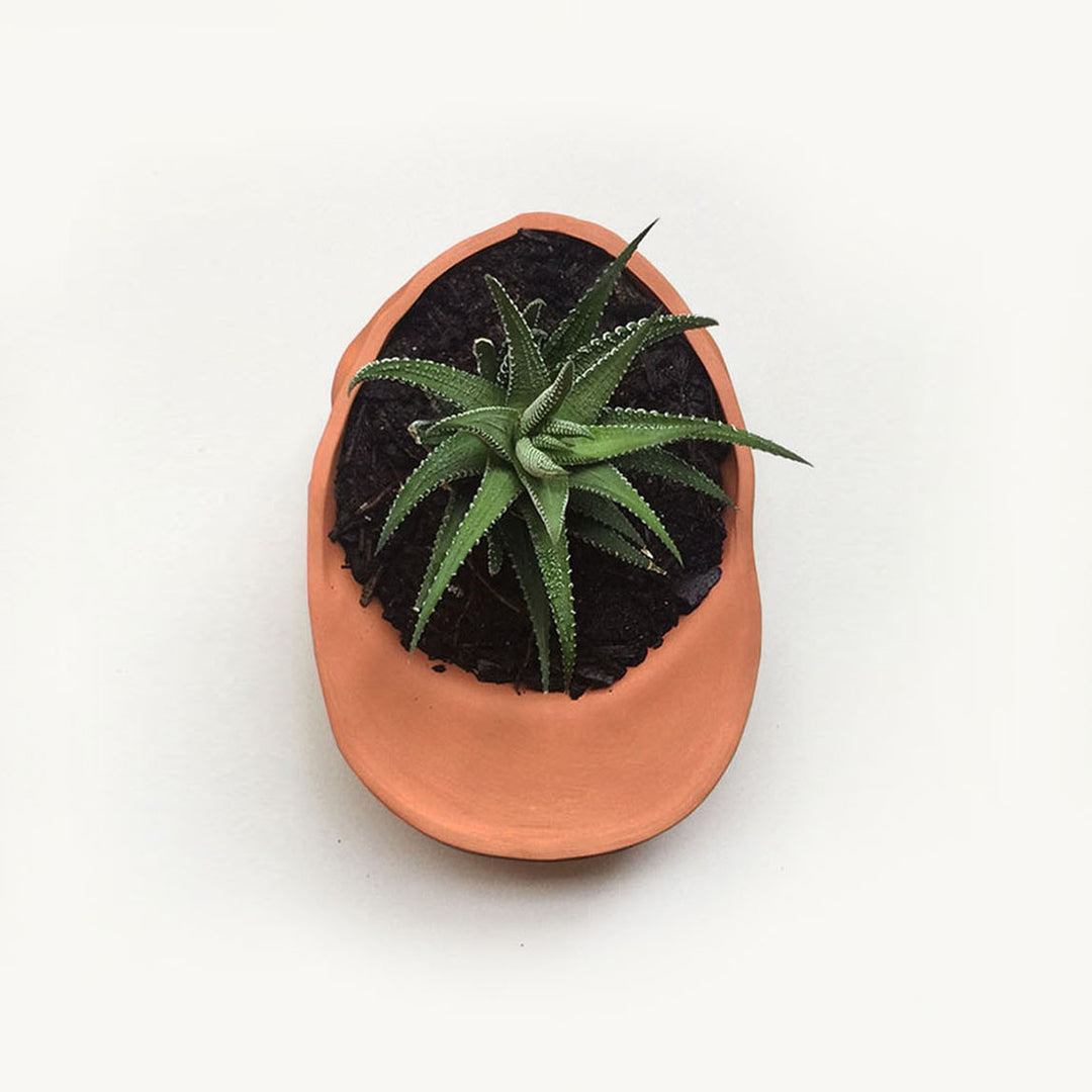 Hat Planter