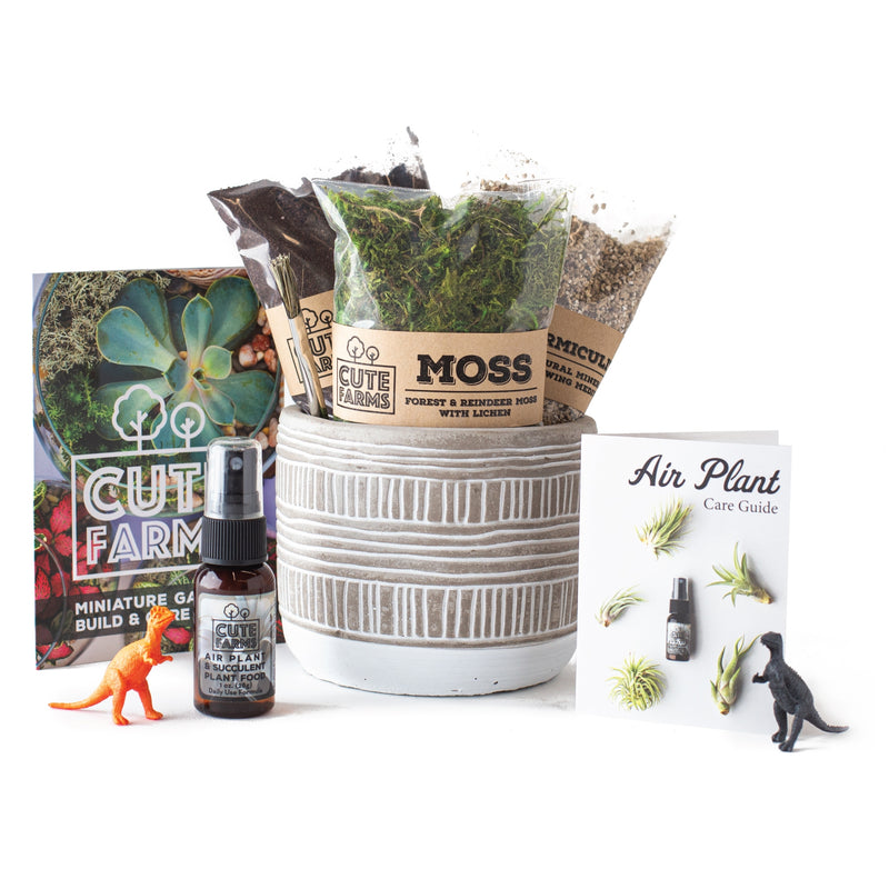 Terrarium Starter Pot Kit