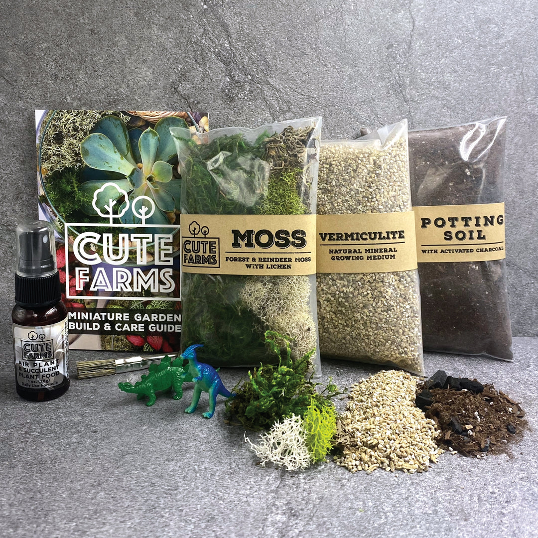 Terrarium Starter Marble Kit