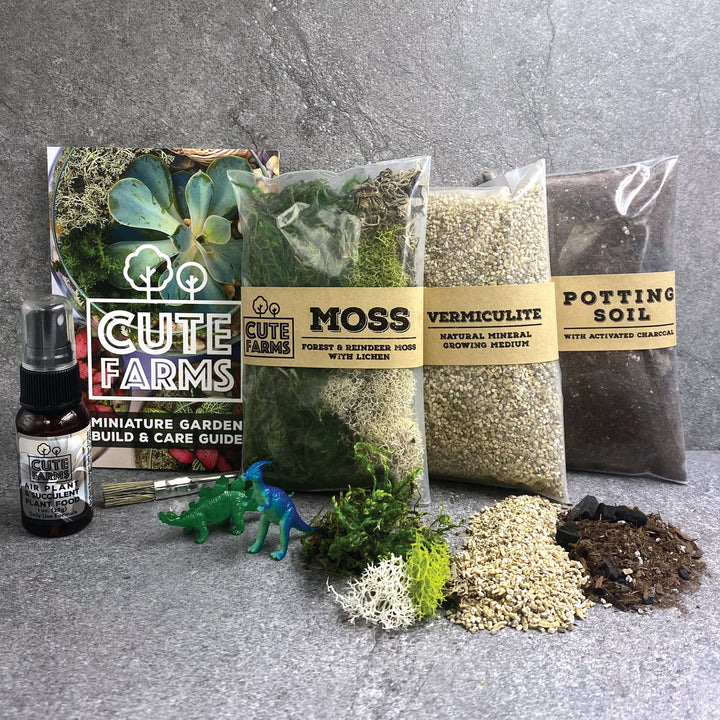 Terrarium Starter Marble Kit
