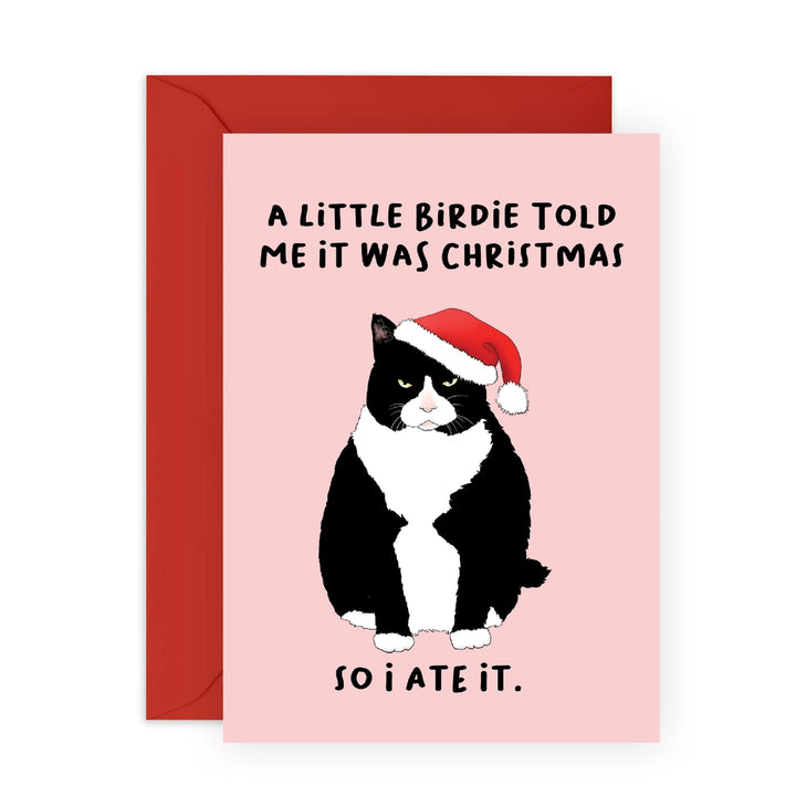 Cat Santa Christmas Holiday Card
