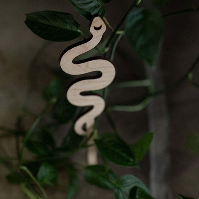 Snake Plant Trellis