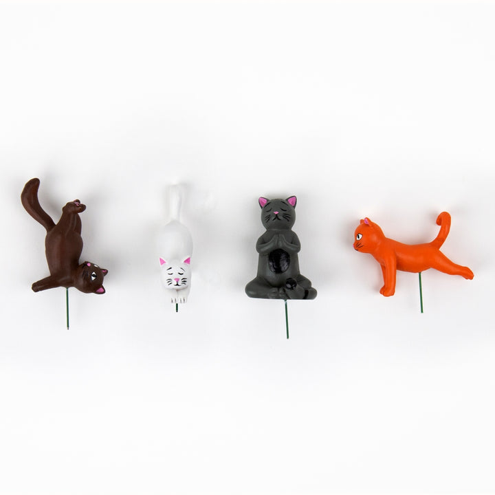 Plant Pot Yoga Cats