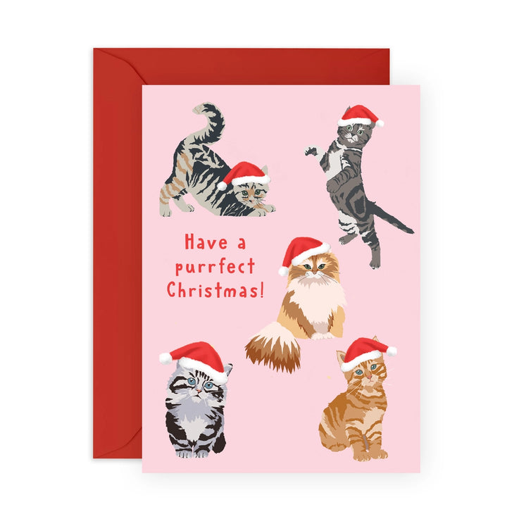 Purrfect Cat Christmas Holiday Card