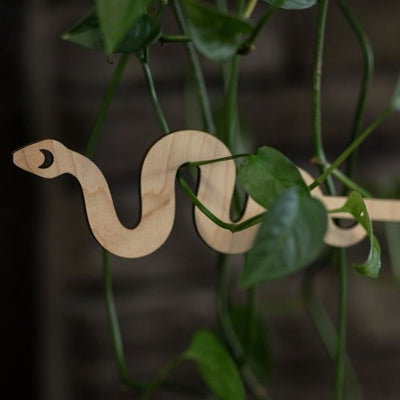 Snake Plant Trellis