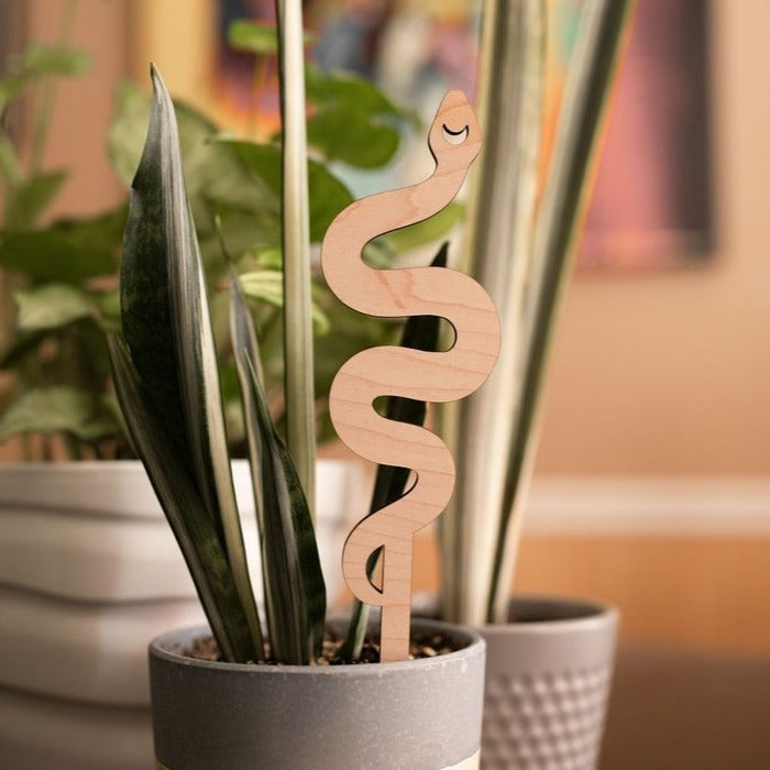 Snake Plant Trellis