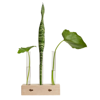 Propagation Station Trio