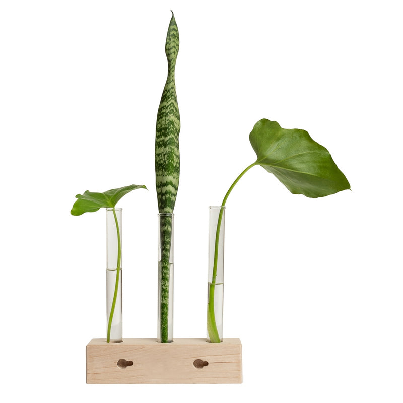 Propagation Station Trio