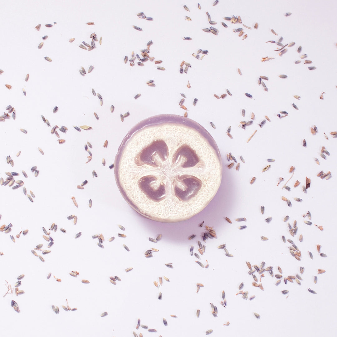 Loofah Soap - Lavender Rain