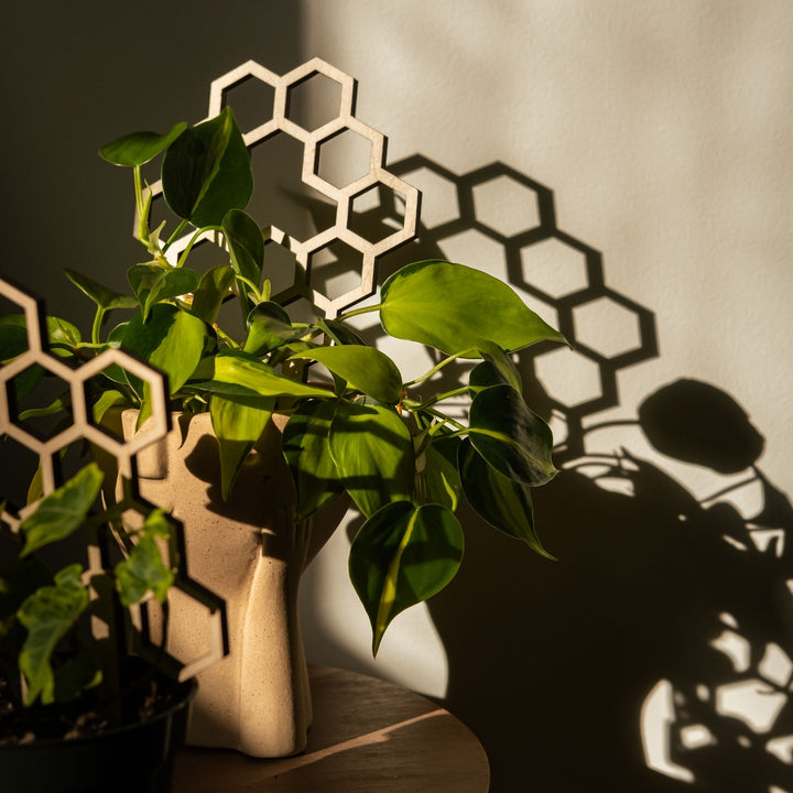 Honeycomb Plant Trellis