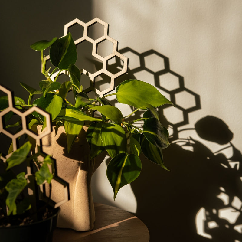 Honeycomb Plant Trellis