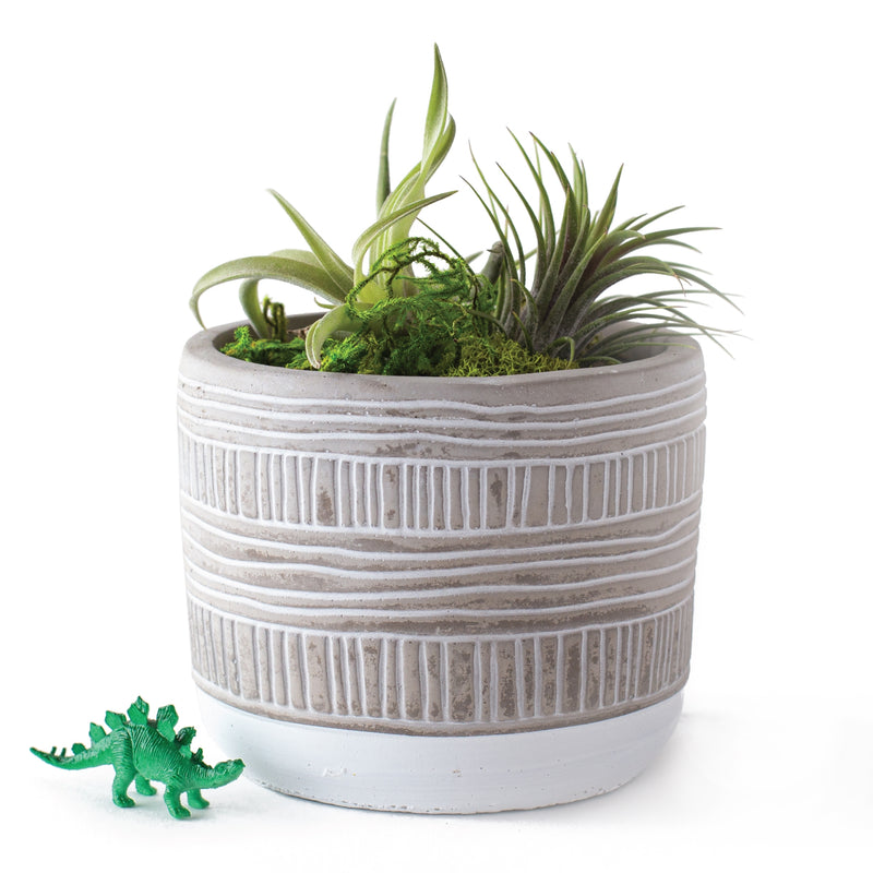 Terrarium Starter Pot Kit