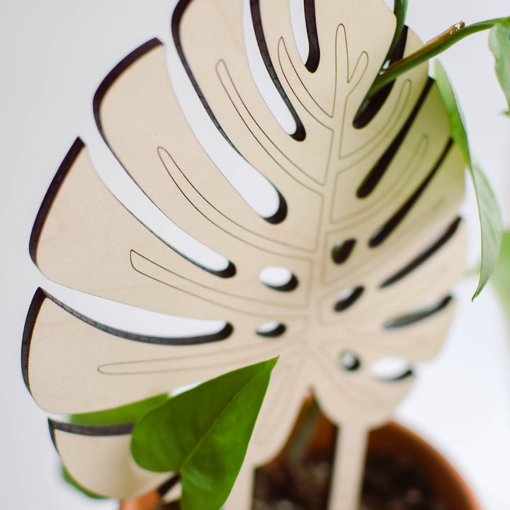 Monstera Leaf Plant Trellis