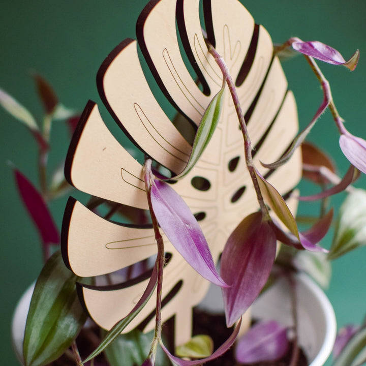 Monstera Leaf Plant Trellis