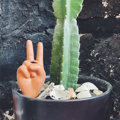 Peace Sign Plant Watering Tool