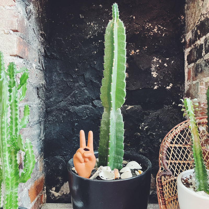 Peace Sign Plant Watering Tool