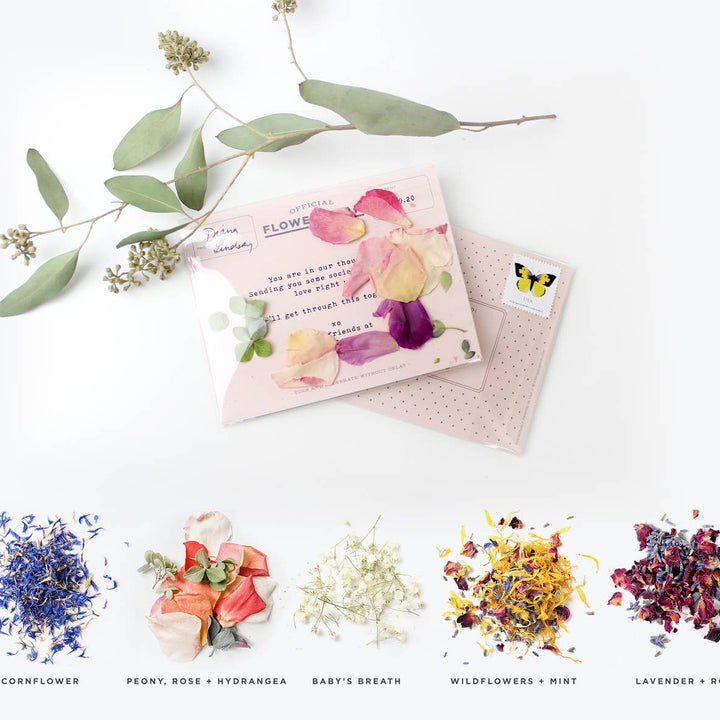 Flowergram - Wildflowers + Mint