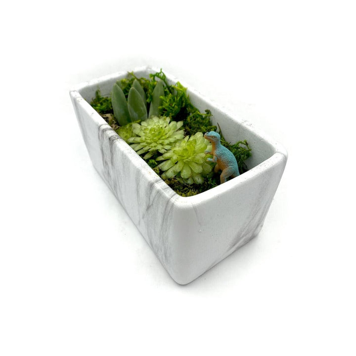 Terrarium Starter Marble Kit
