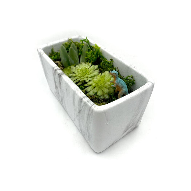 Terrarium Starter Marble Kit