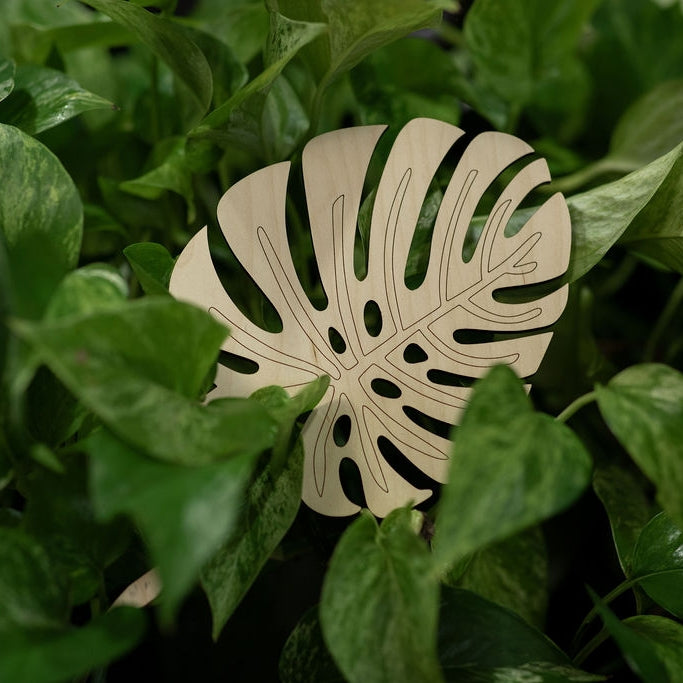 Monstera Leaf Plant Trellis