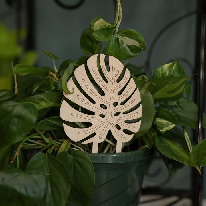 Monstera Leaf Plant Trellis