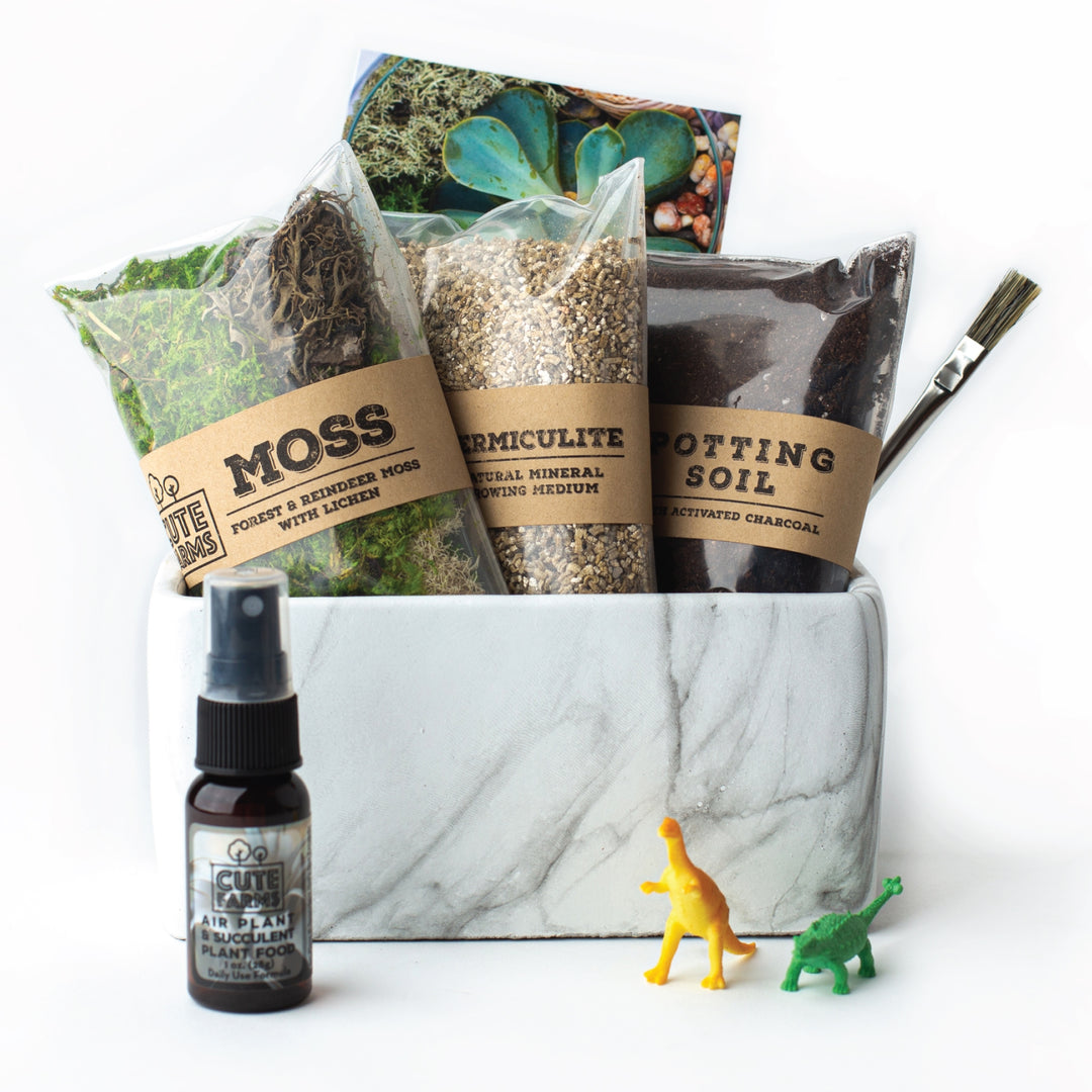 Terrarium Starter Marble Kit