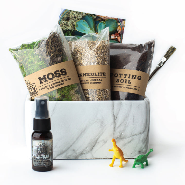 Terrarium Starter Marble Kit