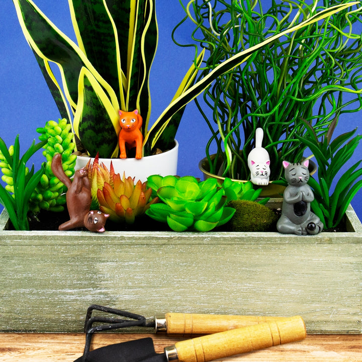 Plant Pot Yoga Cats