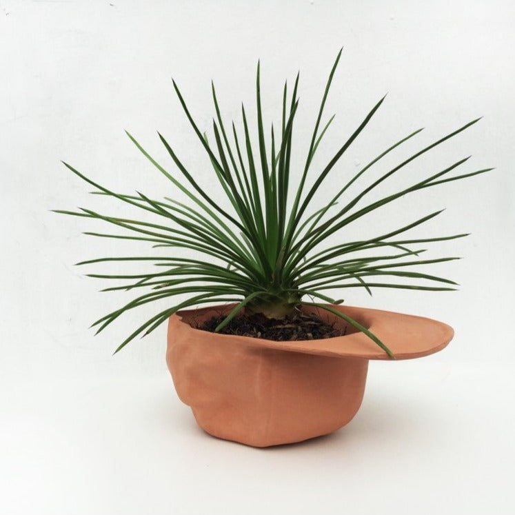 Hat Planter