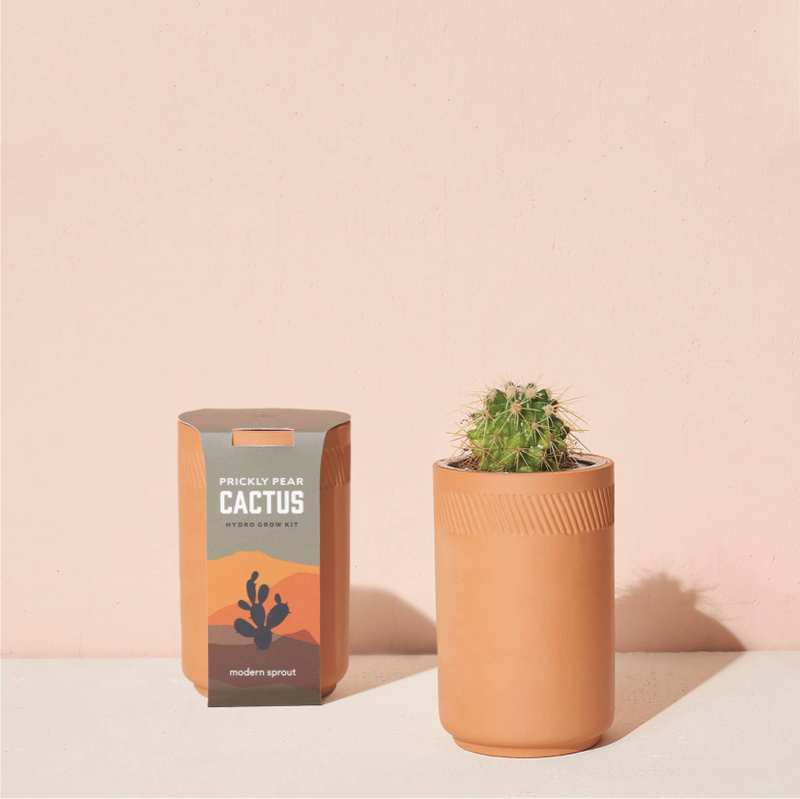 Cactus Grow Kit