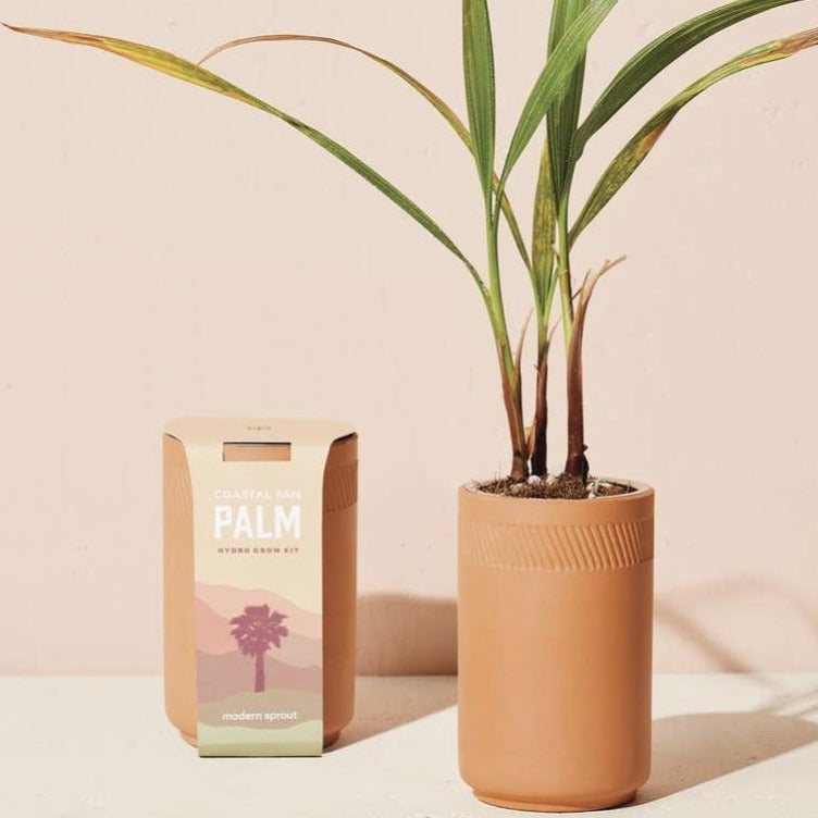 Palm Grow Kit
