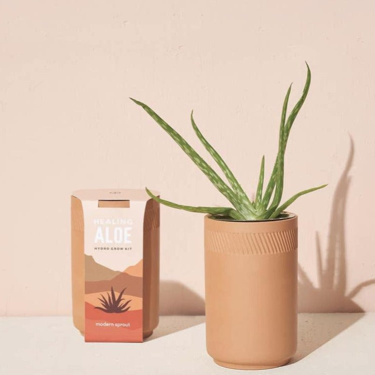 Aloe Grow Kit